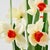 Boho Chic Potted Paper Daffodils For Sale - Image 3 of 6