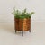 A sculptural planter attributed to the Turin workshop of Victor Cerrato, dating to the 1960s. The cylindrical form is clad...