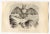 Egyptian slit-faced Bat is an original lithograph on ivory-colored paper, realized by Paul Gervais (1816-1879). The...