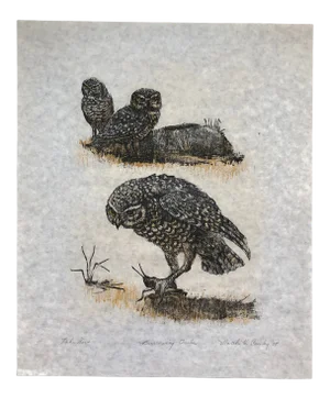 1975 Martha Crawley Woodcut Print, Burrowing Owls, #1/100