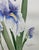 Iris floral still life watercolor by Julie Stephens. Signed and dated March 1995 lower right. Combined shipping available,...