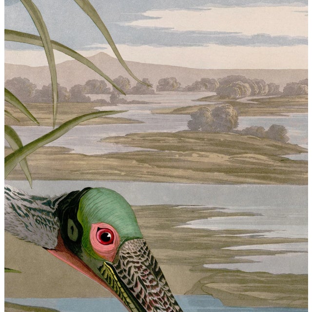 Reproduction Audubon Roseate Spoonbill Triptych in Italian Black Veneer With Champagne Edge For Sale - Image 9 of 11