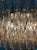 Beige Large Murano Chandelier with Sand Colored Prisms in the style of Carlo Scarpa For Sale - Image 8 of 9