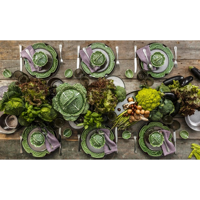 Cineraria is a plant species native to the Azores, this collections highlights its leaves natural beauty. Hand painted...