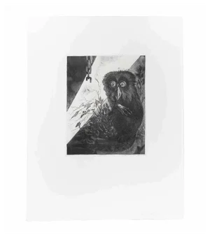 Leo Guida, Lemur, Etching, 1972