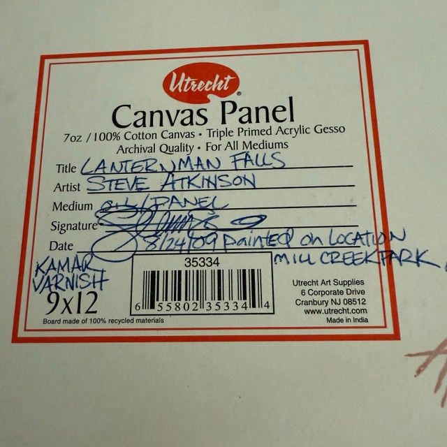 2009 Steve Atkinson Oil Painting of Lantermans Falls- Framed For Sale - Image 4 of 12