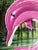 Sofía Cristina Jiménez, Pink Inflatable Dolphin in an Amazon Forest River Landscape, Acrylic Painting, 2025 For Sale - Image 6 of 10