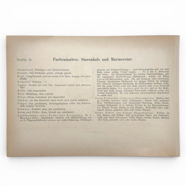 1900 - 1909 1906 Pair of Antique Fancy Pigeon Prints by Emil Schachtzabel, Archivally Matted For Sale - Image 5 of 6