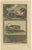 Antique print titled 'c. Babi-roesa. E. Lauw. F. Toepe'. This print depicts babirusa and two other animals, native to...