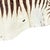 Vintage Zebra Hide Rug, 1950s For Sale - Image 6 of 8