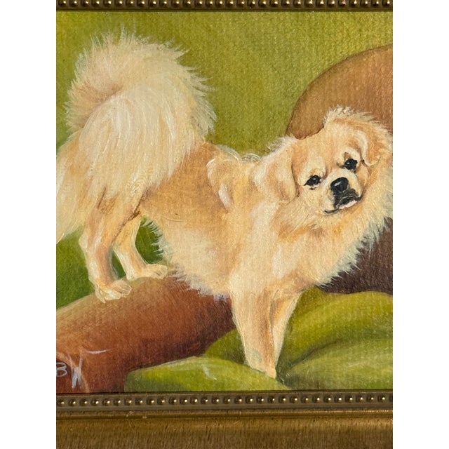 Paint Late 20th Century Small Gold Framed Pekingese Dog Oil Painting, Signed For Sale - Image 7 of 8