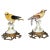 European Porcelain Figures of Sunbirds - A Pair For Sale - Image 13 of 13