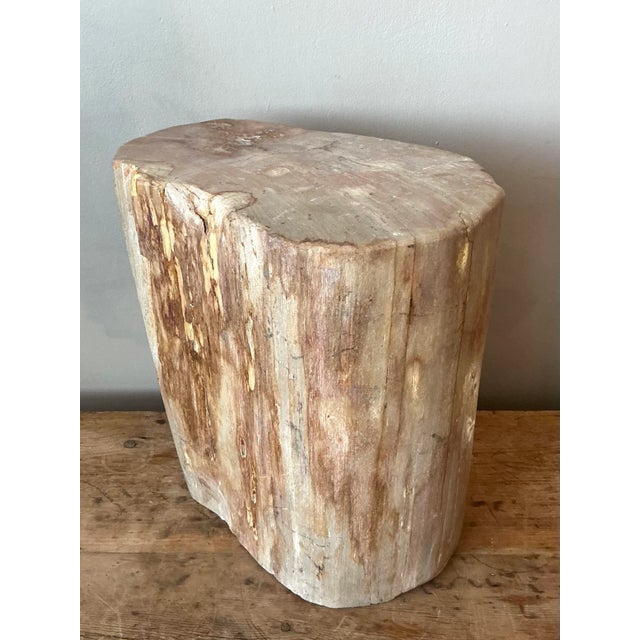 Wood Vintage Boho Petrified Wood Stool For Sale - Image 7 of 8
