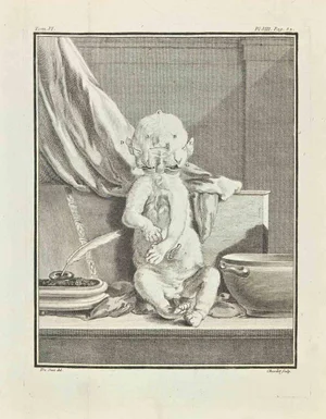 Juste Chevillet, The Creature, Etching, 1771