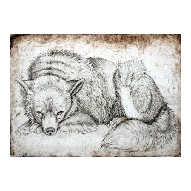 Maria Korusiewicz, Beware of Dogs II, 1999 For Sale