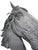 2000 - 2009 Fernando Sánchez Castillo, Horse Head, 2004, Bronze For Sale - Image 5 of 15