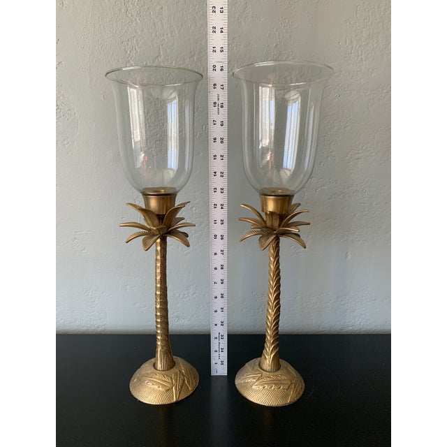 Large Solid Brass Palm Taper candle holders with large clear glass hurricanes. Bottoms have black felt lining.