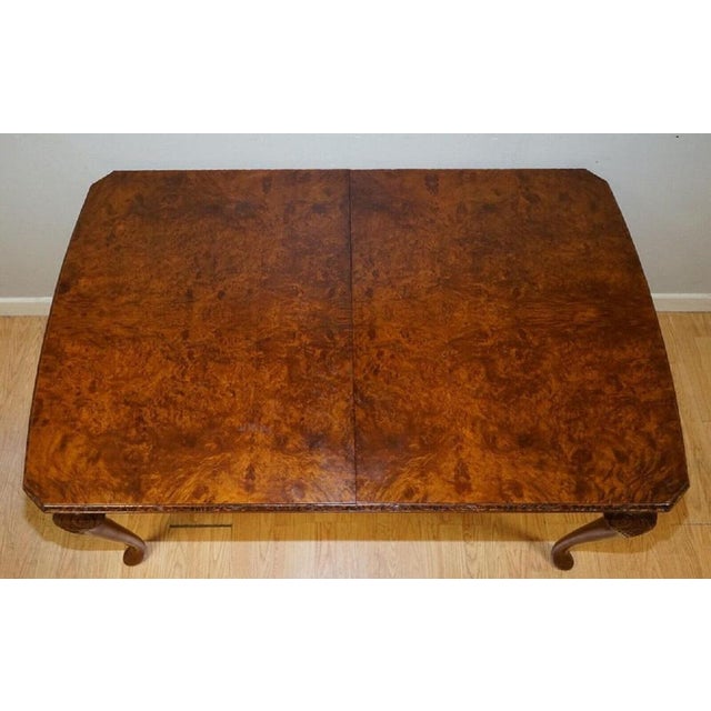 Queen Anne Burr Walnut Dining Table with Carved Legs, 1930s For Sale - Image 3 of 12
