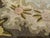 Vintage American Hand Hooked Rug, Wool & Cotton, Floral Pattern, Folk Art, 4x6 For Sale - Image 10 of 15