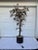 Mid-Century Modern Brutalist Hammered Metal Tree Sculpture With Uplight, Curtis Jere, 1960's For Sale - Image 3 of 13
