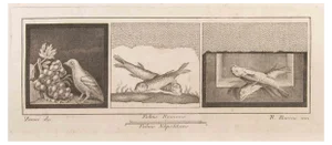 Raffaele Barone, Decoration with Animals, Etching, 18th Century