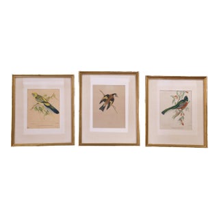 19th C. Hand-Colored Lithographs by Gould Printed by C. Hullmandel, Set of 3 For Sale