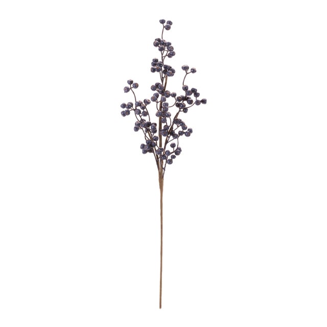 Add natural texture and seasonal charm to your décor with this Rustic Decorative Berry Branch set. Featuring clusters of...