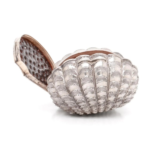 Rare Antique Hilliard & Thomason Sterling Silver Clam Shell Form Nutmeg Grater For Sale - Image 11 of 18