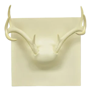 Early 21st Century Erich Ginder White Cast Ghost Antler Coat Rack Wall Art