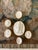 Antique Italian Grand Tour Plaster Intaglios - Set of 6 (Group #10) For Sale - Image 10 of 11