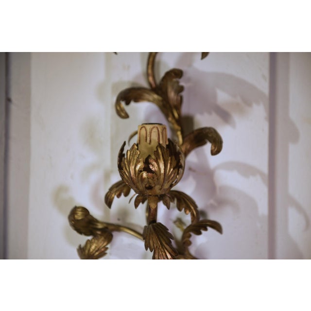 Vintage Floral Wall Sconces in Gilt Steel, 1960s, Set of 2, in Very Good conditions. Designed 1960 to 1969 European Plug...