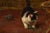 Aimée Roy, Portraits of Two Playing Cats, 19th Century, Oil Painting on Panel, Framed For Sale - Image 6 of 11