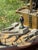 Late 19th C. American Primitive Folk Hand-Crafted Battleship Model on Base For Sale - Image 15 of 17