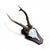 1980s Roe Deer Trophy 25 With Jaw Bone, Black Forest Antlers For Sale In Aspen - Image 6 of 6