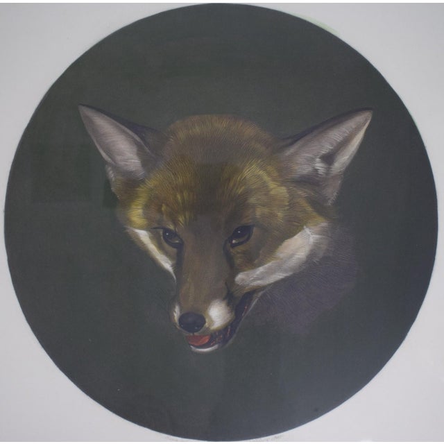 Print Sz: 17 1/2"H x 16 1/4"W Frame Sz: 23"H x 21 3/4"