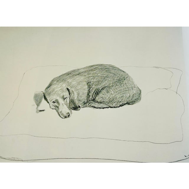 David Hockney: A Drawing Retrospective Book, 1st. Edition, Out of Print For Sale - Image 11 of 12