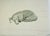 David Hockney: A Drawing Retrospective Book, 1st. Edition, Out of Print For Sale - Image 11 of 12