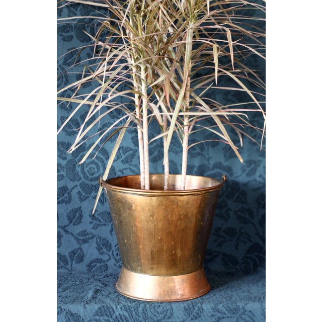 Late 19th Century Large Brass Coal Bucket With Handle For Sale - Image 12 of 12