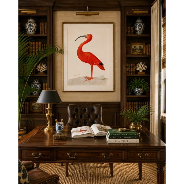 Scarlet Ibis With an Egg, Vintage Art Print Reproduction, 20" X 30" For Sale - Image 11 of 12