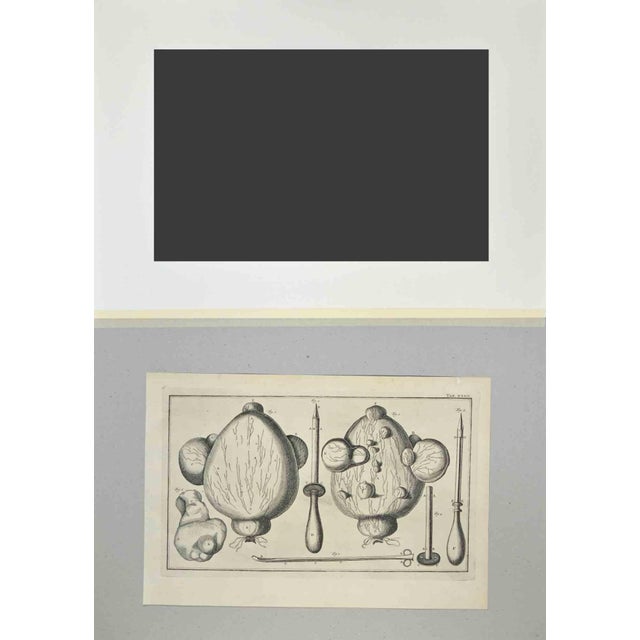 Surgical instruments is part of the suite realized by lorenz heister in the series of institutiones chirurgicae,...