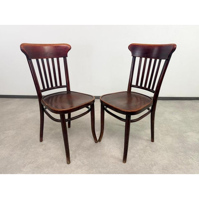 Thonet Vintage Bentwood Dining Chairs from Thonet, 1920s, Set of 10 For Sale - Image 4 of 14