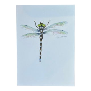 Nancy Smith Original Colored Pencil Drawing "Dragonfly" For Sale