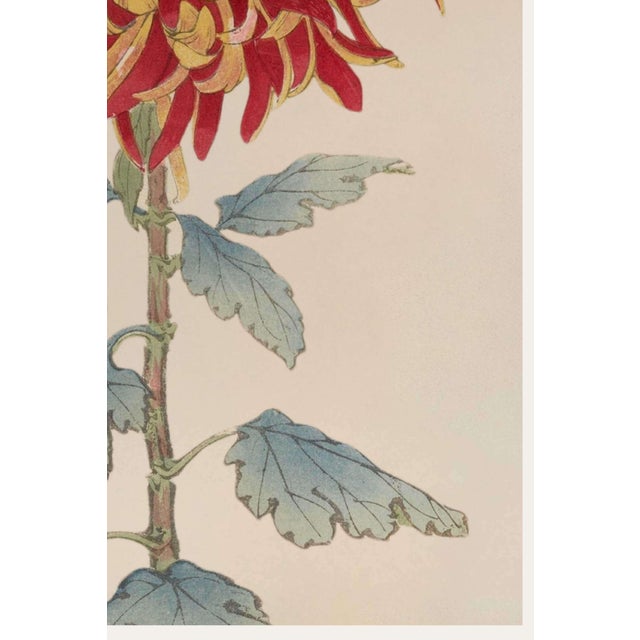 Not Yet Made - Made To Order Asian Red Mum by Hasegawa, Vintage Japanese Botanical Art Print, 40" X 60" For Sale - Image 5 of 9
