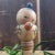 Kokeshi by Inosuke Kobayashi, 1950s For Sale - Image 13 of 15
