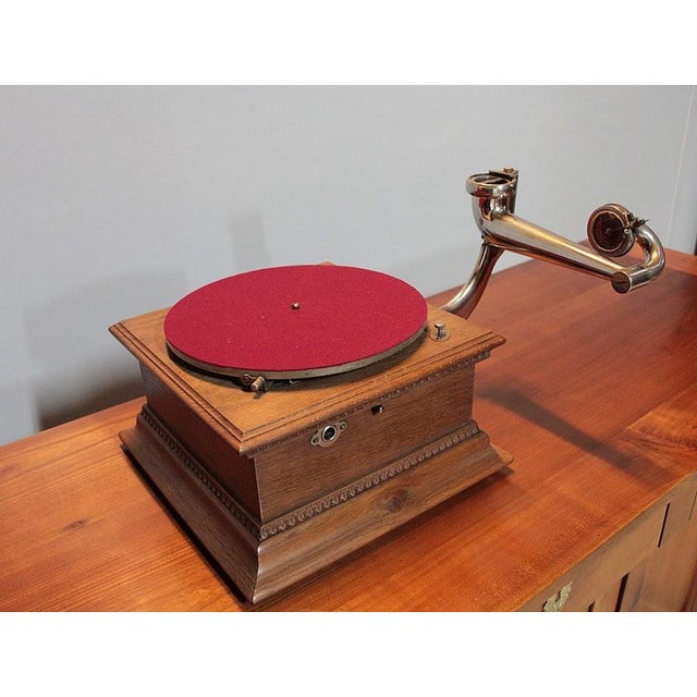 20th Century Horn Gramophone For Sale - Image 13 of 14