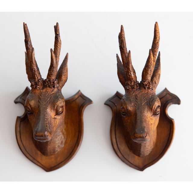 Wood Pair of Antique Black Forest Carved Deer Head Trophy Plaques, Circa 1900 For Sale - Image 7 of 7