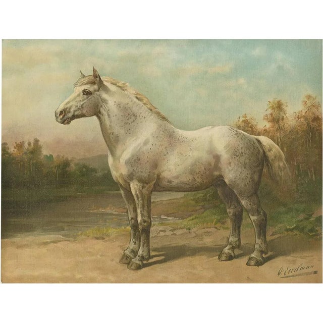 O. Eerelman, Boulon Horse, 1898, Print For Sale