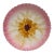 French Majolica Pink Daisy Plate Orchies, Circa 1890 For Sale