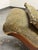 Brown Victorian Leopard Print Chaise Lounge For Sale - Image 8 of 12