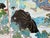 1900 - 1909 Antique Meiji Era Japanese Kutani Porcelain Platter Samurai For Sale - Image 5 of 10